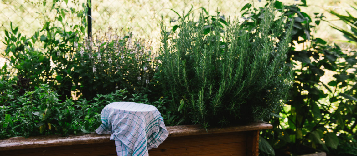 5. Juli 2020: Gruß aus der Küche