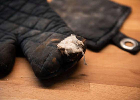 Die Wichtigkeit oder Ungenügsamkeit der Dinge