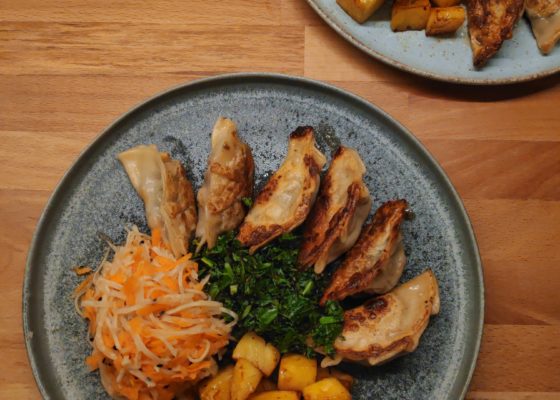 Vegane Gyoza mit Volofüllung (Grundrezept)