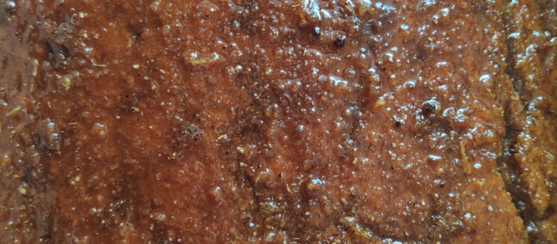 Zitronen-Buttermilch Kuchen mit Heidelbeeren